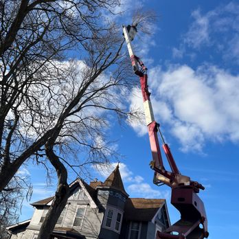 Landis Tree & Stump - Tree Services Near Me - Kendallville, Indiana Landis Tree & Stump - Tree Services Near Me - Kendallville, Indiana