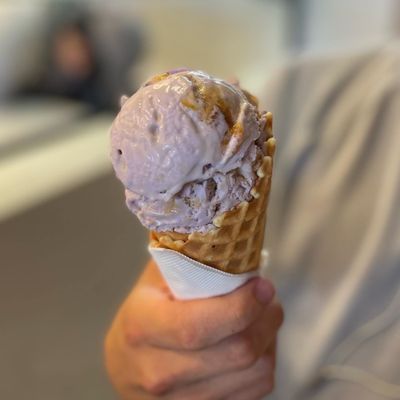 Sorry Not Sorry Creamery - Flamingo by null