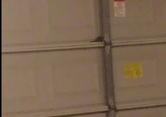 Pro Pest & Termite Services