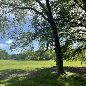 Prospect Park - Parks Near Me - Brooklyn, New York Prospect Park - Parks Near Me - Brooklyn, New York