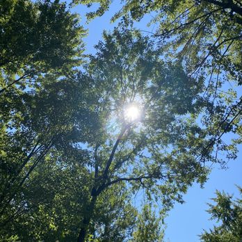 26 Mile Nature Preserve - Hello sunshine. - Hiking Near Me - Macomb, Michigan 26 Mile Nature Preserve - Hello sunshine. - Hiking Near Me - Macomb, Michigan