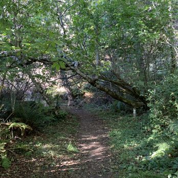Jug Handle State Natural Reserve - Parks Near Me - Fort Bragg, California