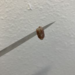 Cacao Nibs