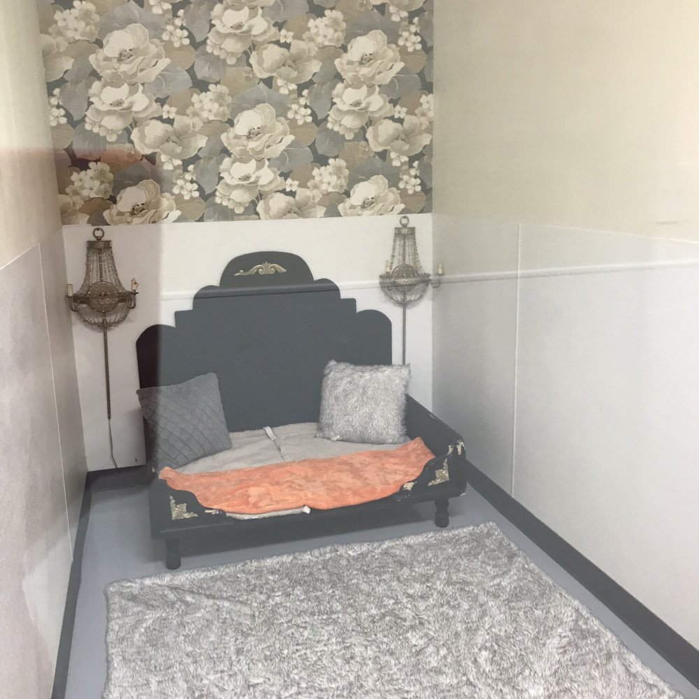 Paw Lofts - Luxury Suite with dog bed, wall paper and a chandelier - so cute!!! - Pet Groomers Near Me - Dallas, Texas Paw Lofts - Luxury Suite with dog bed, wall paper and a chandelier - so cute!!! - Pet Groomers Near Me - Dallas, Texas
