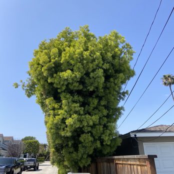 Fnl Landscaping - Before. . . - Landscaping Near Me - Costa Mesa, California Fnl Landscaping - Before. . . - Landscaping Near Me - Costa Mesa, California