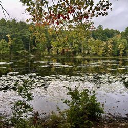 Pine Lake RV Resort & Cottages - Love it
