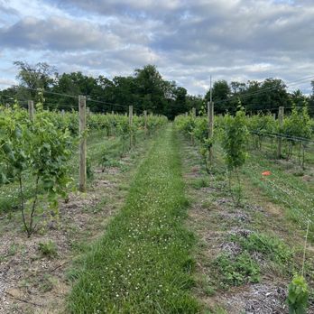 Michael Angelo's Winery - Vineyards - Wineries Near Me - Richfield, Ohio