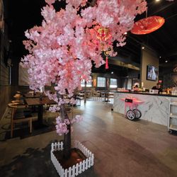Qmi Sushi