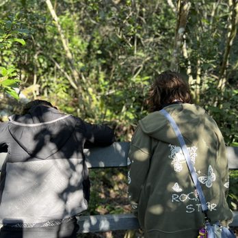 Fern Forest Nature Center - Parks Near Me - Coconut Creek, Florida