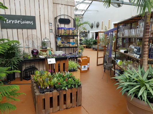 Patuxent Nursery 72 Photos 49 Reviews Nurseries Gardening 2410 N Crain Hwy Bowie Md United States Phone Number Yelp Patuxent Nursery 72 Photos 49