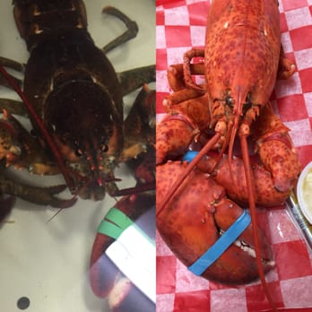 James Hook & Co - Before/After - Seafood Near Me - Boston, Massachusetts James Hook & Co - Before/After - Seafood Near Me - Boston, Massachusetts
