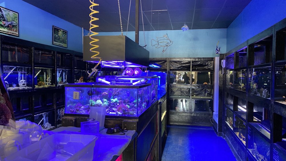 CHICO PET WORKS & PET SALON 19 Photos & 62 Reviews 2201 Pillsbury