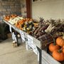 Dutch Country Farm Market
