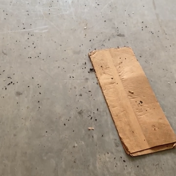 Public Storage - RAT POOP EVERYWHERE - Self Storage Near Me - Dallas, Texas