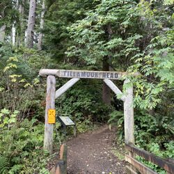Tillamook Head Trail - Beginning of the trail