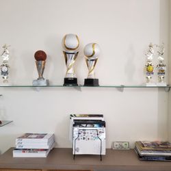 Old Pueblo Trophy - Love these pearl white baseballs trophies