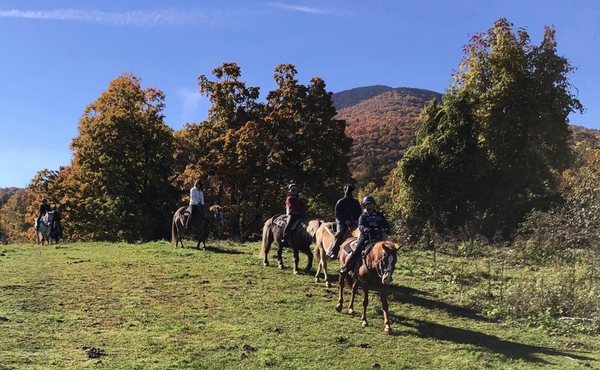 Mountain View Ranch by null