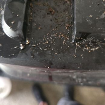 Harbor Oaks Apartments - Roaches and roach feces. - Apartments Near Me - Hudson, Florida Harbor Oaks Apartments - Roaches and roach feces. - Apartments Near Me - Hudson, Florida