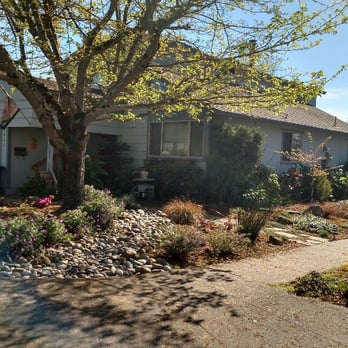 Paz Landscape - Landscaping Near Me - Sonoma, California Paz Landscape - Landscaping Near Me - Sonoma, California