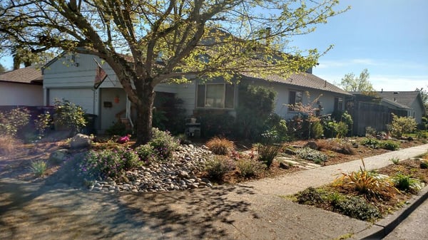 Landscape Maintenance and Design - Paz Landscape has over 30 years of experience in providing landscape maintenance services to the Sonoma County and North Bay Area. We offer expert services at reasonable rates. Customer satisfaction is guaranteed. Languages: English and Spanish