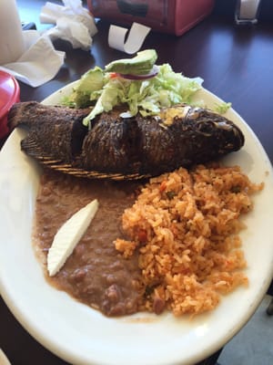 Guanajuato Mexican Restaurant by null