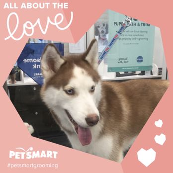 PetSmart - Pet Training Near Me - Long Beach, California PetSmart - Pet Training Near Me - Long Beach, California
