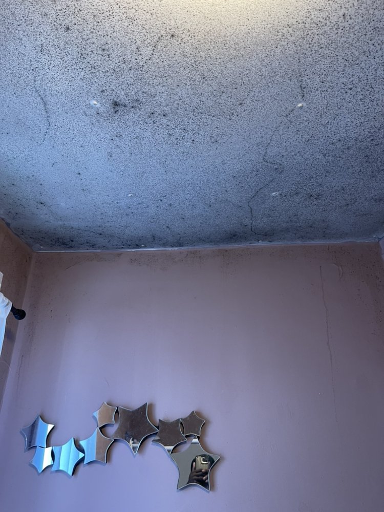 Slide of All Around Handyman