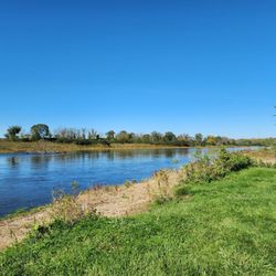 Fox River Shores Forest Preserve
