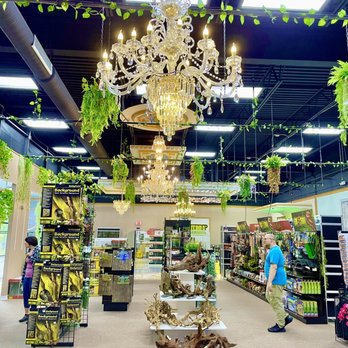 Aquariums Unlimited - New reptile room. May 2023 - Aquarium Services Near Me - Virginia Beach, Virginia Aquariums Unlimited - New reptile room. May 2023 - Aquarium Services Near Me - Virginia Beach, Virginia