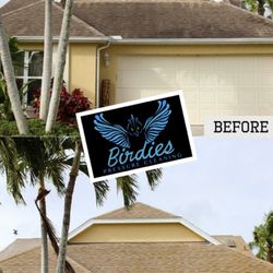 Birdies Pressure Cleaning