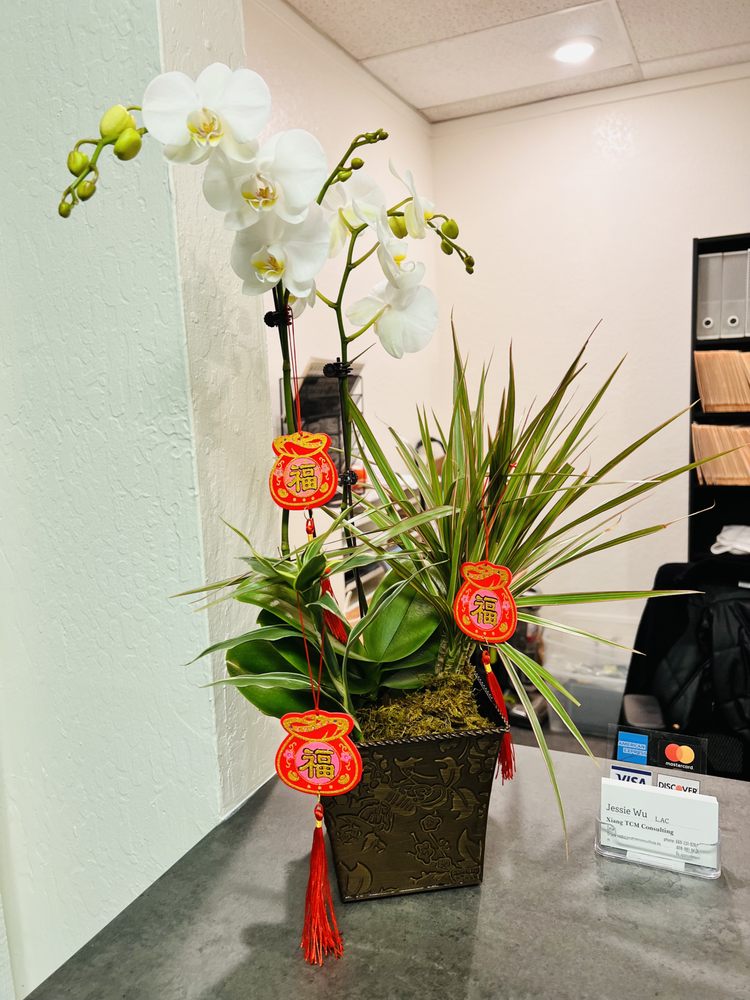 PROSPEROUS ACUPUNCTURE CLINIC Updated August 2024 39 Photos & 19