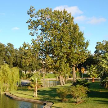 Louis Armstrong Park - Parks Near Me - New Orleans, Louisiana Louis Armstrong Park - Parks Near Me - New Orleans, Louisiana