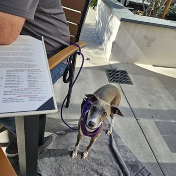 Finney's Crafthouse - Orange - Dog Friendly patio - New American Near Me - Orange, California Finney's Crafthouse - Orange - Dog Friendly patio - New American Near Me - Orange, California