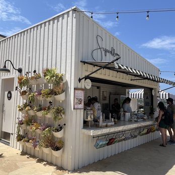 Superbloom - Coffee & Tea Near Me - San Diego, California Superbloom - Coffee & Tea Near Me - San Diego, California