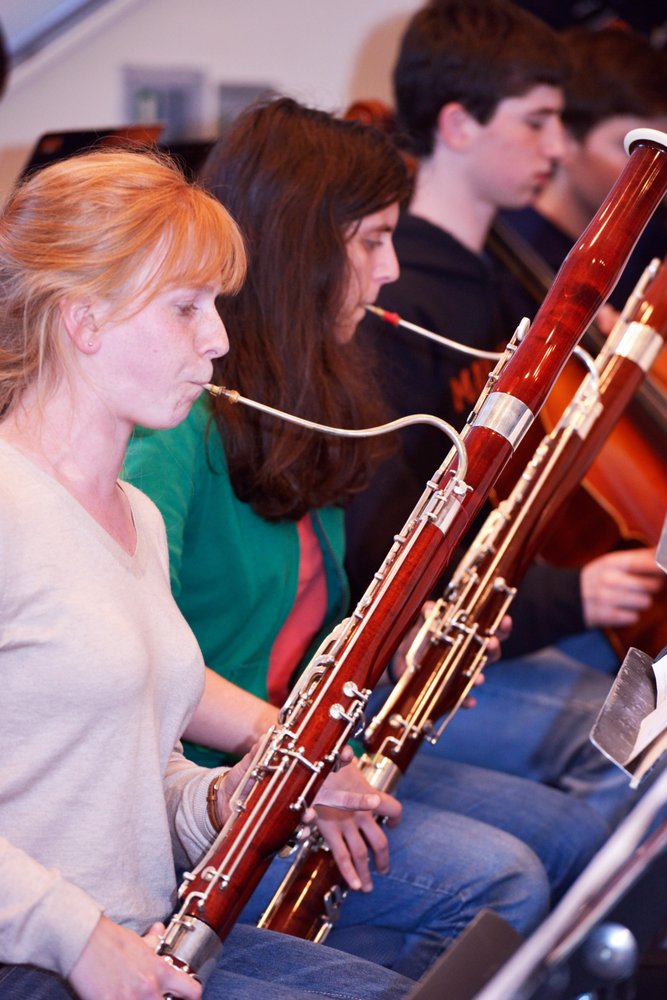 Hoff-Barthelson Music School - social services organization in Scarsdale, NY