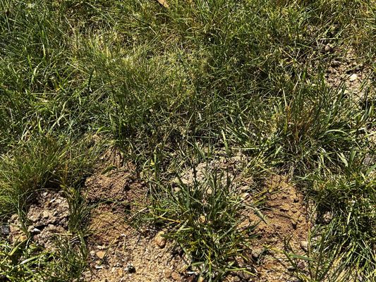 Aptive Environmental