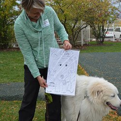JCFS Therapeutic Day School - Mazel Paws 2017