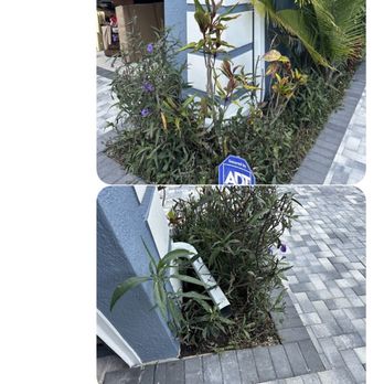 Budget Gutters - Gutter Services Near Me - Fort Pierce, Florida Budget Gutters - Gutter Services Near Me - Fort Pierce, Florida