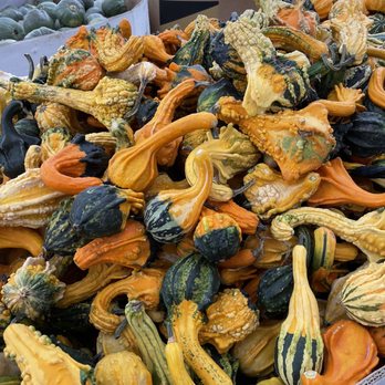 Spooner Farms - Lots of options - Farms Near Me - Puyallup, Washington Spooner Farms - Lots of options - Farms Near Me - Puyallup, Washington