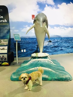 Clearwater Marine Aquarium by null