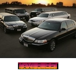 A1 Action Taxi Cab & Car Service