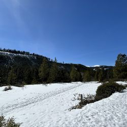 Tumalo Creek Trail