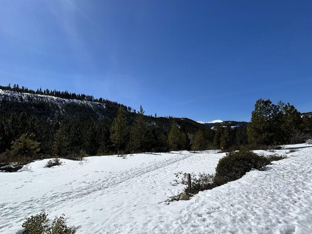 Tumalo Creek Trail Logo