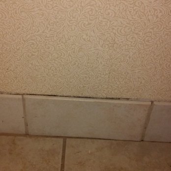 Ramada Overland Park - mold and tiles coming loose from the wall - Hotels Near Me - Overland Park, Kansas Ramada Overland Park - mold and tiles coming loose from the wall - Hotels Near Me - Overland Park, Kansas