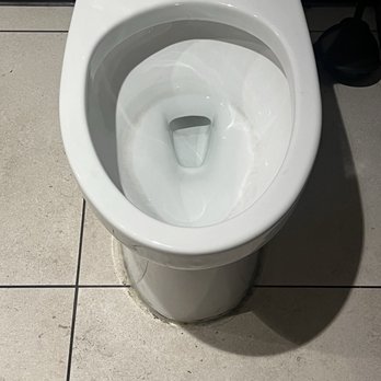 Starbucks - Hard to see in photo - but the toilet bowl is filthy with a ring inside the toilet which seems to be lack of a regular scheduled cleaning. - Coffee & Tea Near Me - Lone Tree, Colorado Starbucks - Hard to see in photo - but the toilet bowl is filthy with a ring inside the toilet which seems to be lack of a regular scheduled cleaning. - Coffee & Tea Near Me - Lone Tree, Colorado