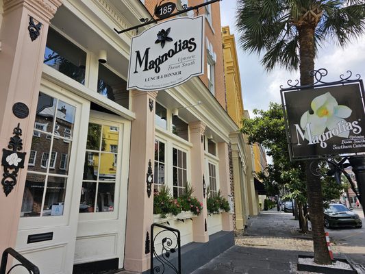 Magnolias by null
