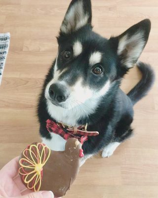 woofables dog bakery