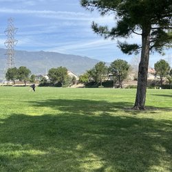 Rosena Park East - Large grassy area and shade