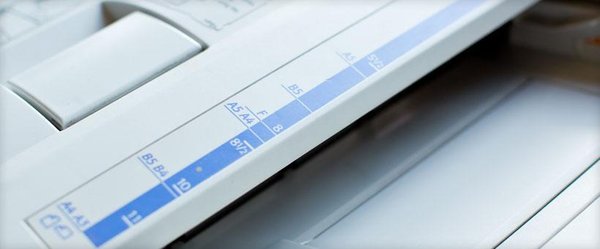 White Dog Ship & Print