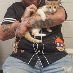 Henrico County Police Animal Shelter